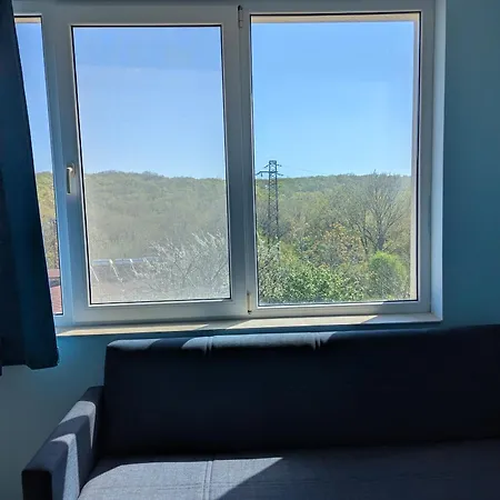 Chalakov Pensionat 4*