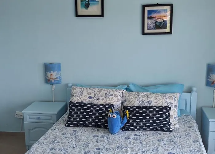 Chalakov Πανσιόν Sinemoretz