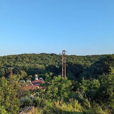 Chalakov 辛尼莫雷特