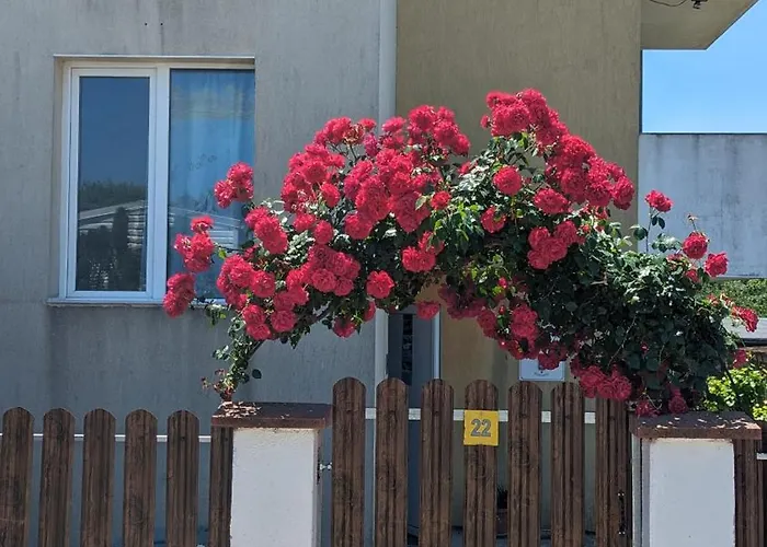 Vendégház Chalakov 4*